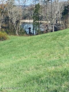 Bob Wright Road Lot 41 Road Maynardville TN 37807