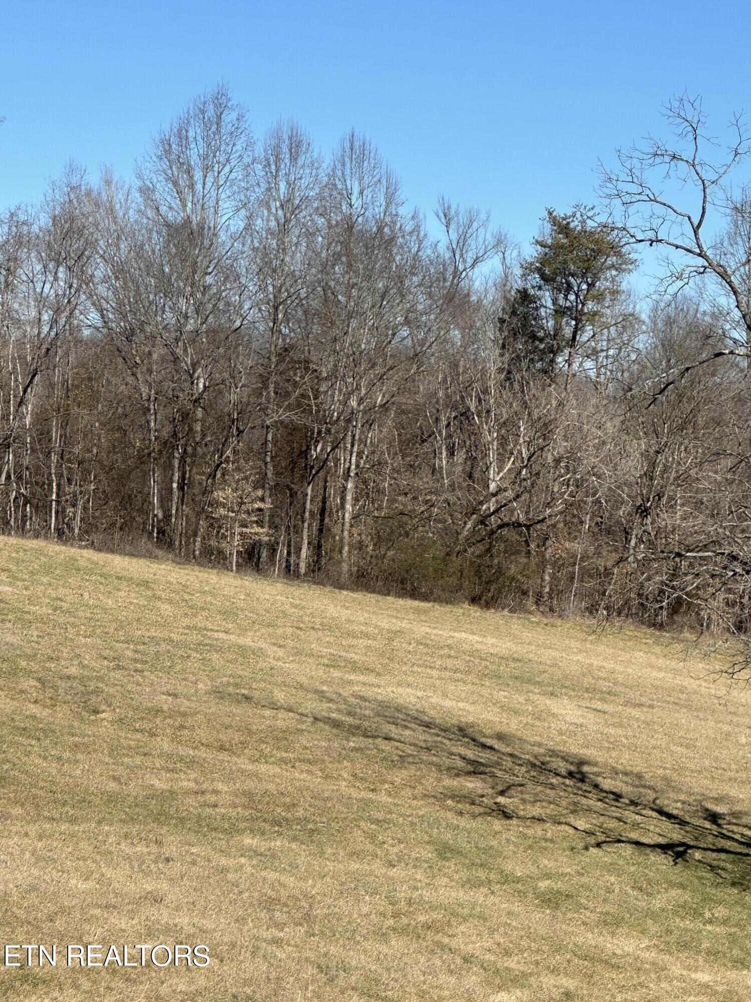 Bob Wright Road Lot 41 Road Maynardville TN 37807