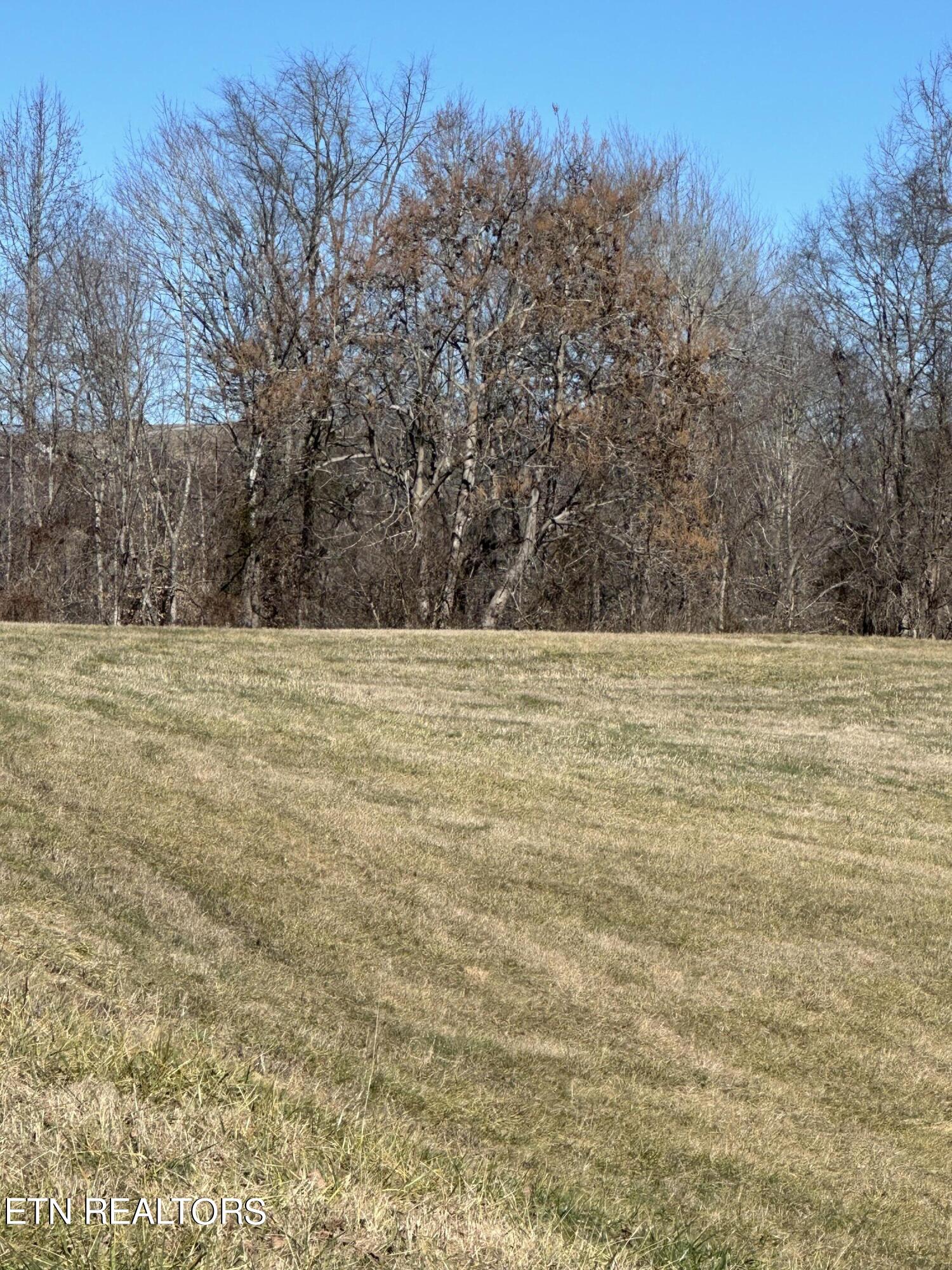 Bob Wright Road Lot 41 Road Maynardville TN 37807
