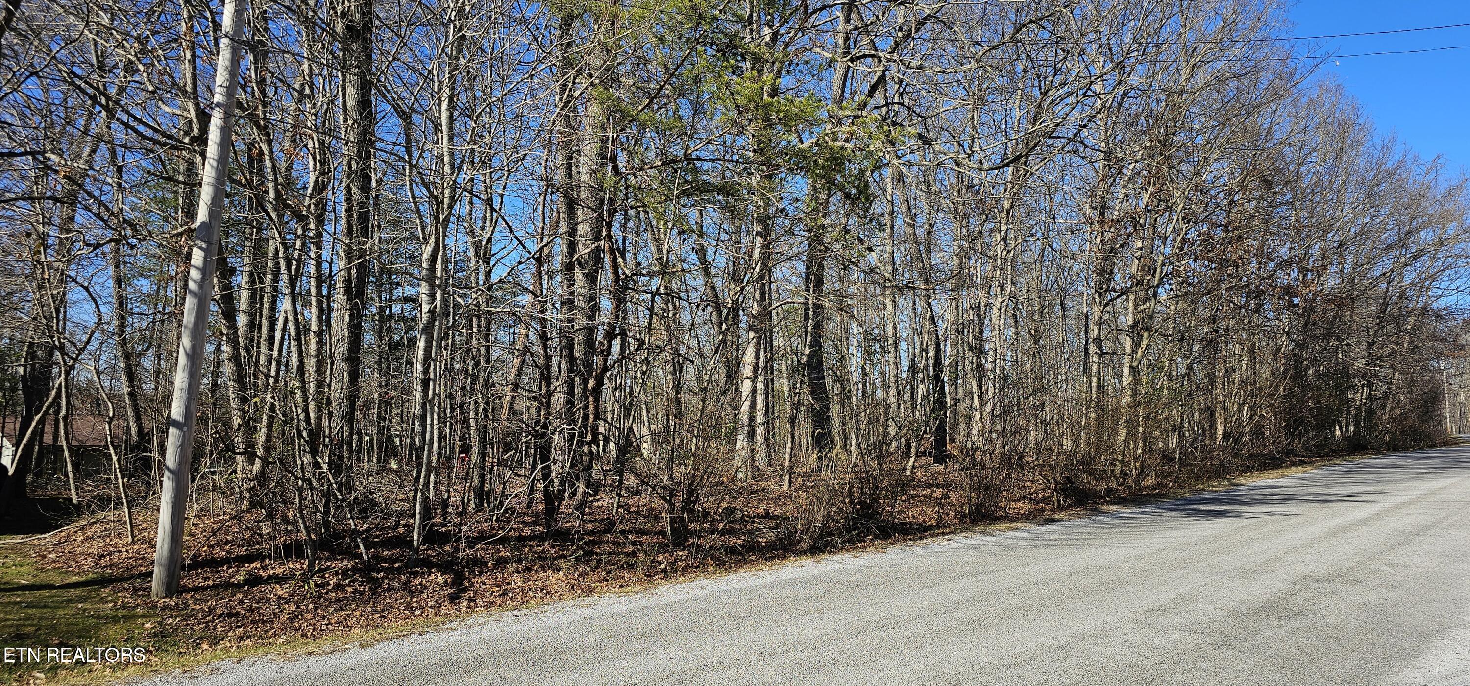 308 Kings Down Drive Crossville TN 38558