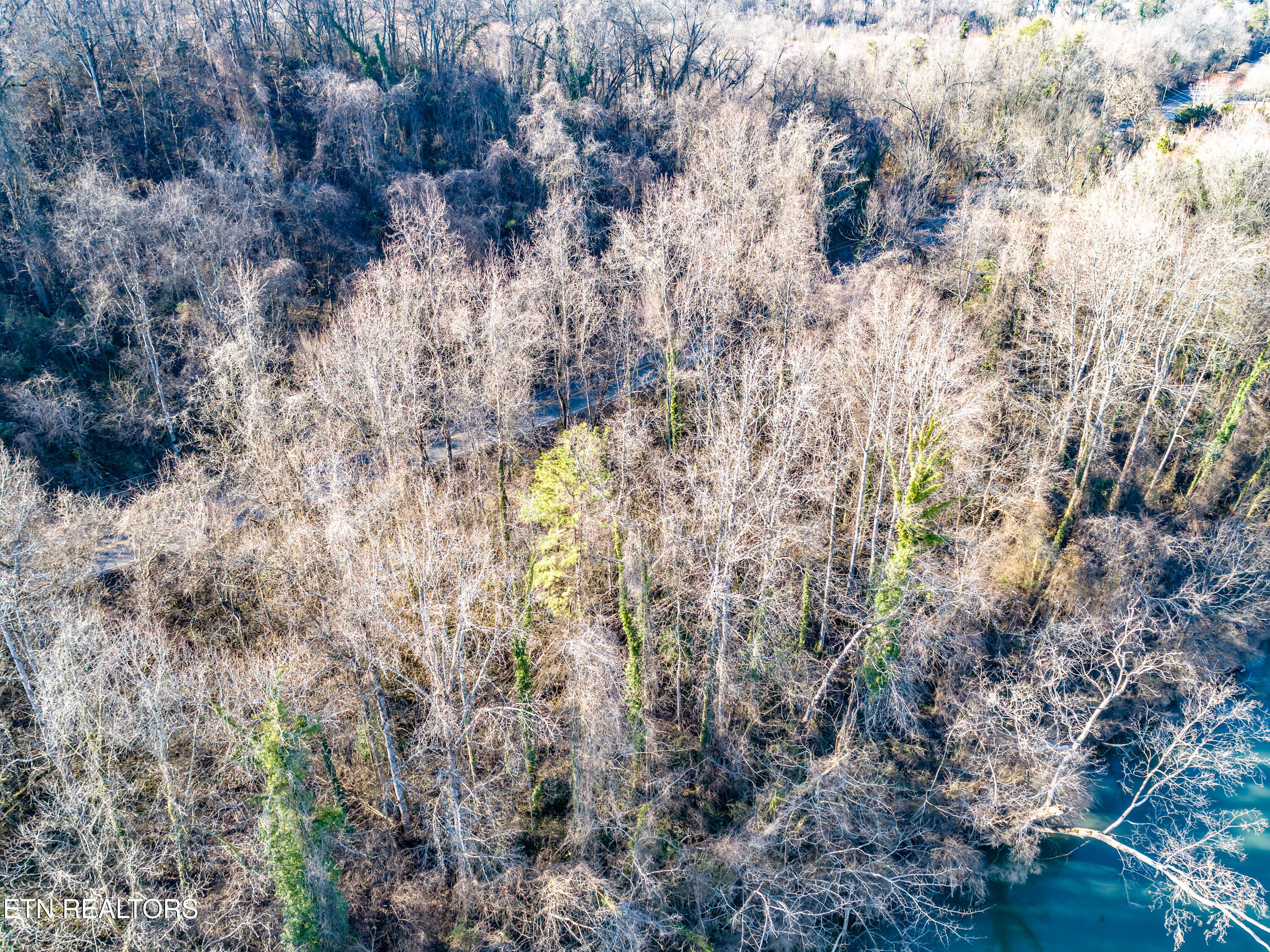3706-3708 Holston Hills Road Knoxville TN 37914