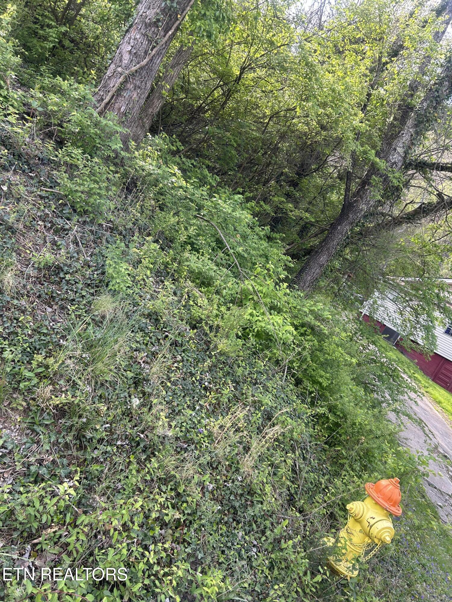 3339 Johnston Street Knoxville TN 37921
