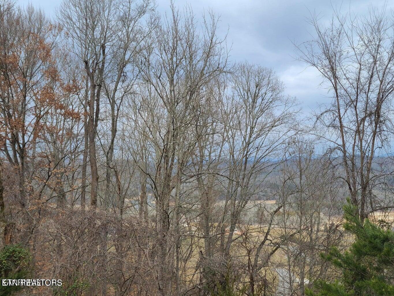 94 Swan Song Trail Sharps Chapel TN 37866