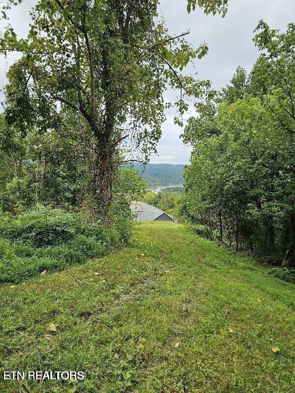 94 Swan Song Trail Sharps Chapel TN 37866