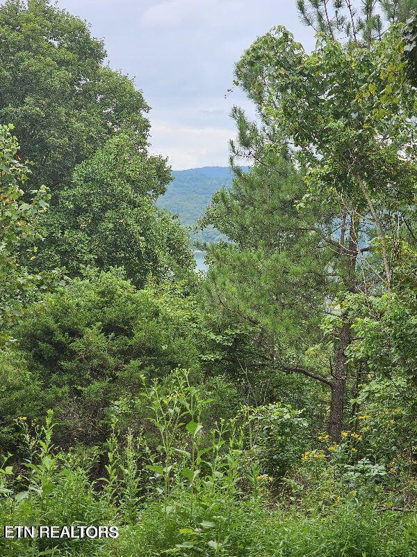 94 Swan Song Trail Sharps Chapel TN 37866