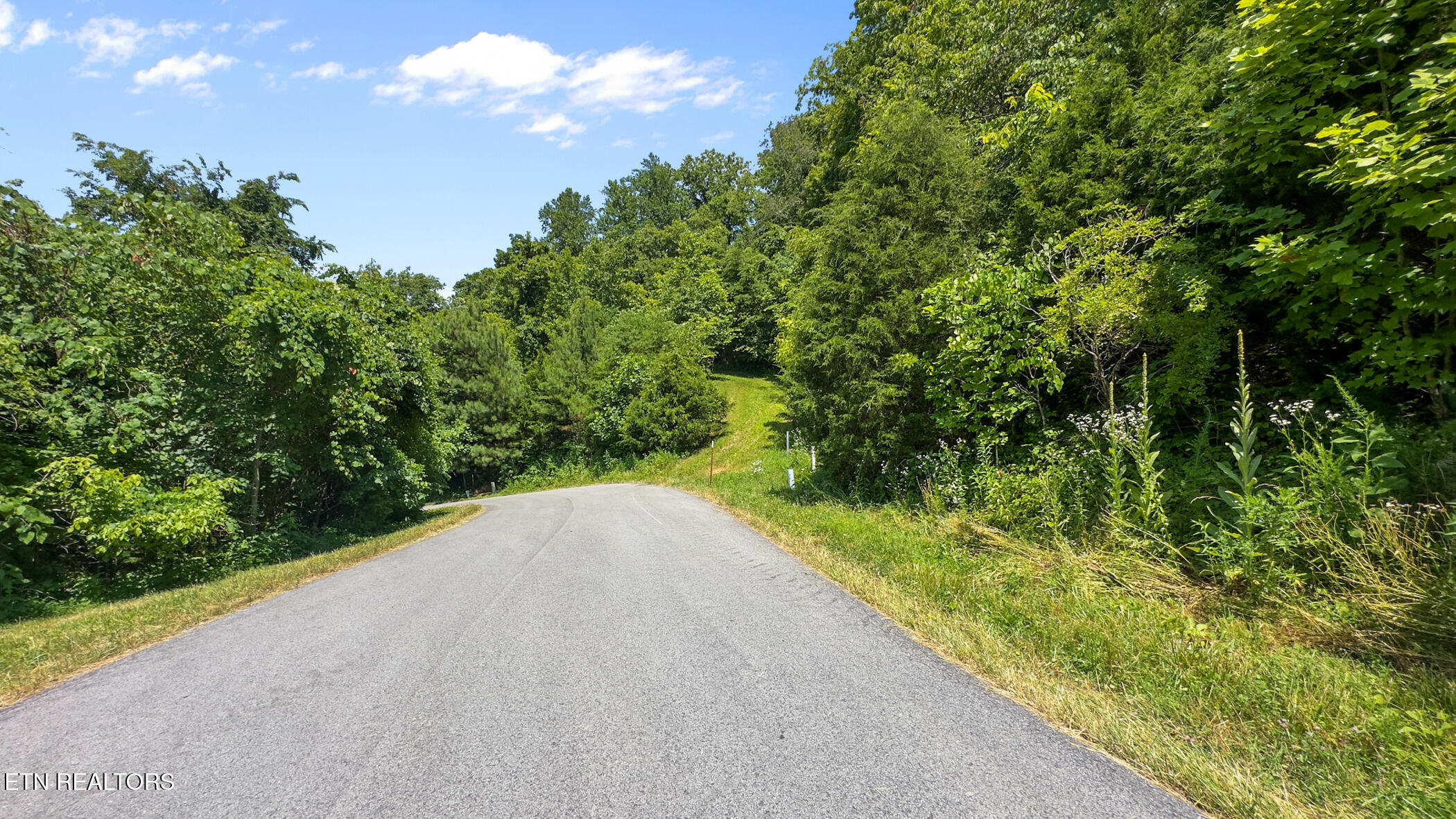 94 Swan Song Trail Sharps Chapel TN 37866