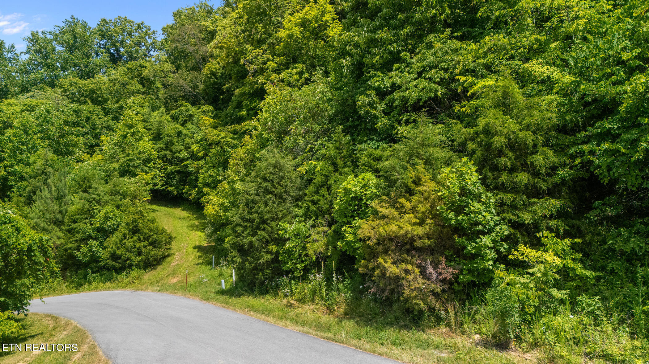 94 Swan Song Trail Sharps Chapel TN 37866
