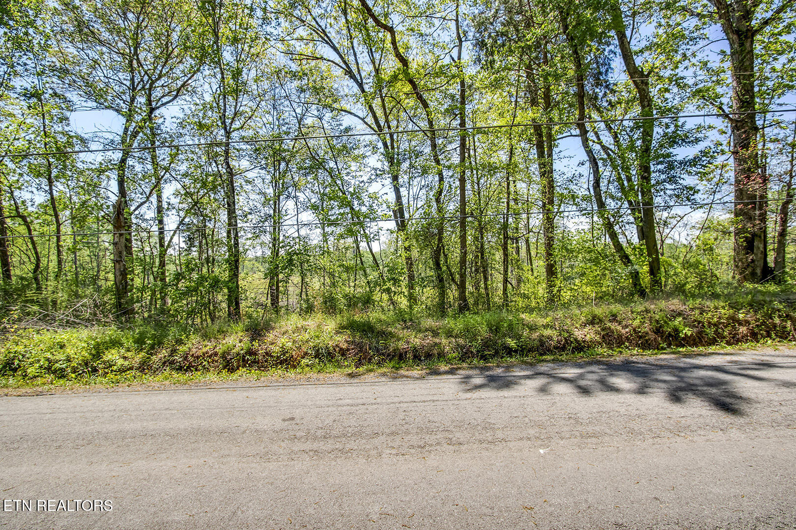 549 Oak Grove Road Decatur TN 37322