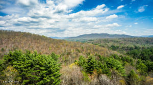 Green Ridge Trail - Lot #2 Harriman TN 37748