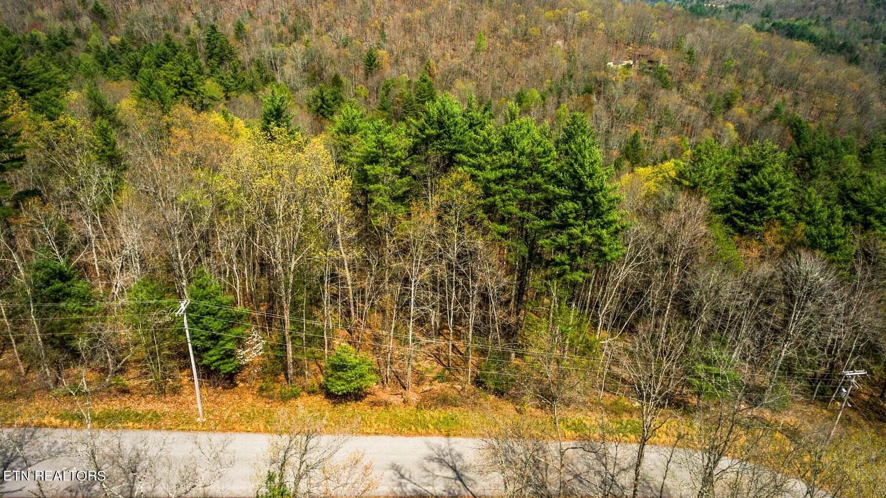 Green Ridge Trail - Lot #2 Harriman TN 37748