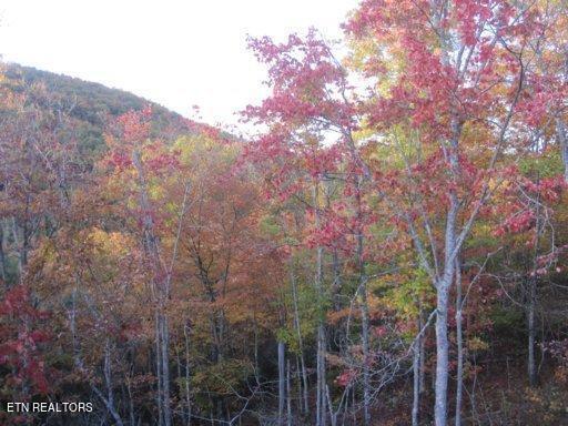 Green Ridge Trail - Lot #2 Harriman TN 37748