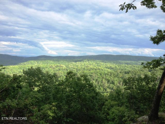 Green Ridge Trail - Lot #2 Harriman TN 37748