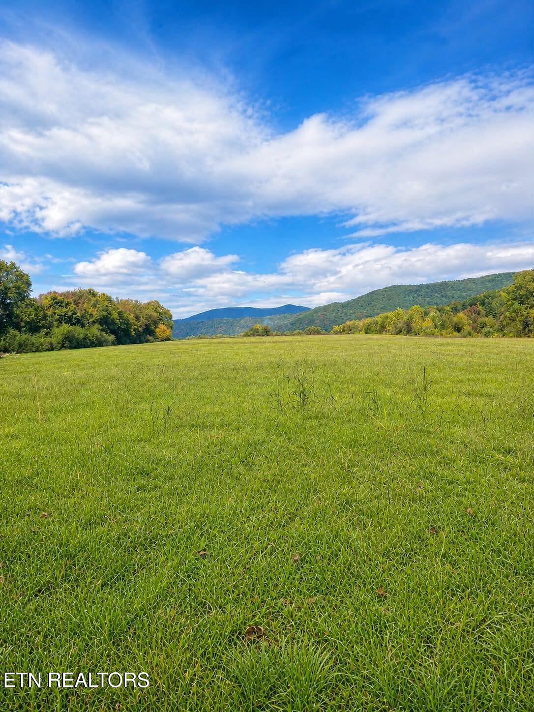 516 Petit Lane Wartburg TN 37887
