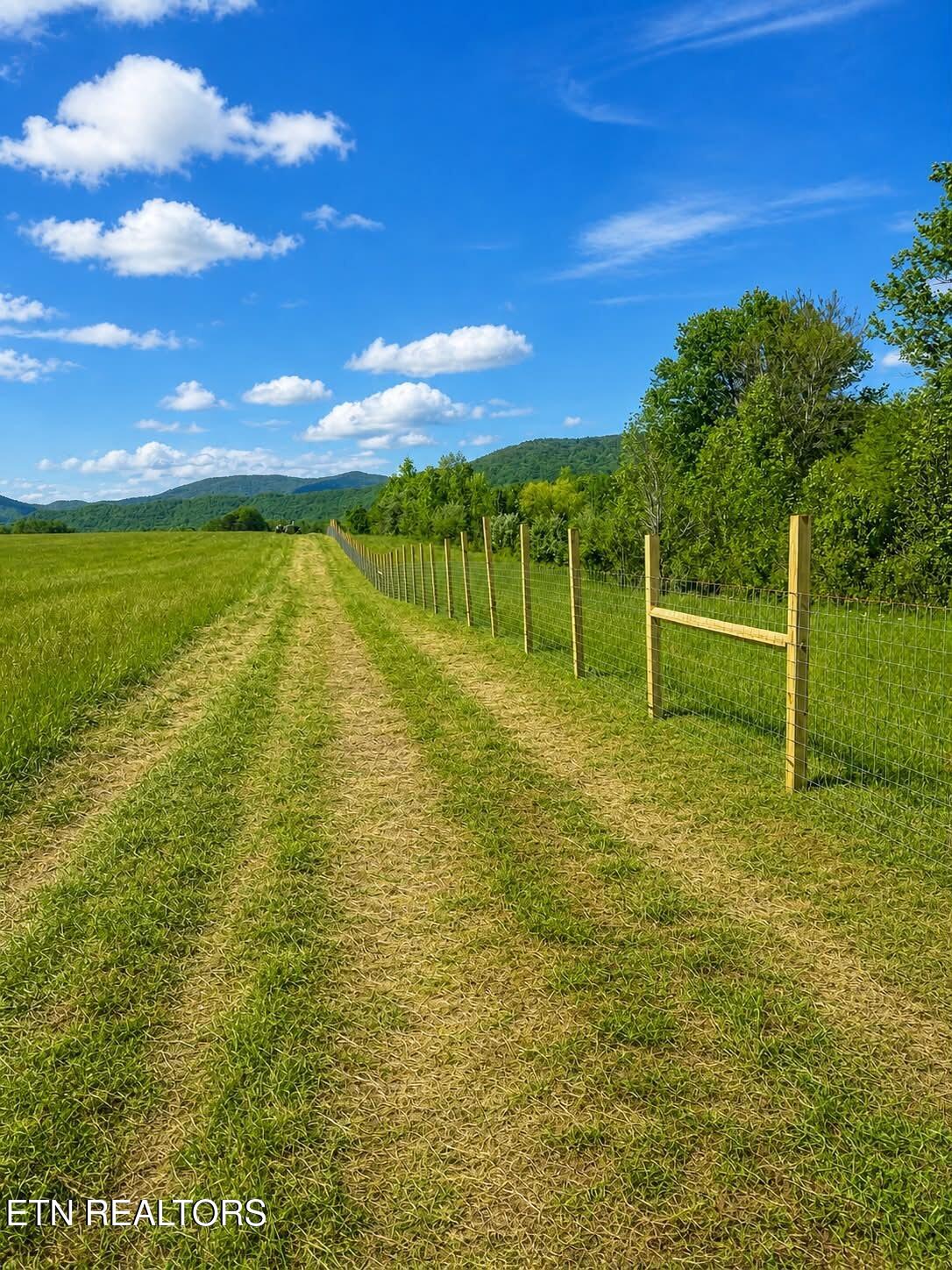 516 Petit Lane Wartburg TN 37887