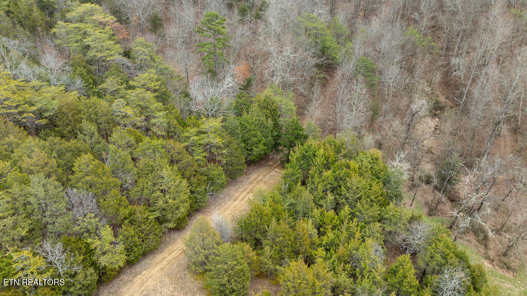 1924 Big Gully Road Maryville TN 37801
