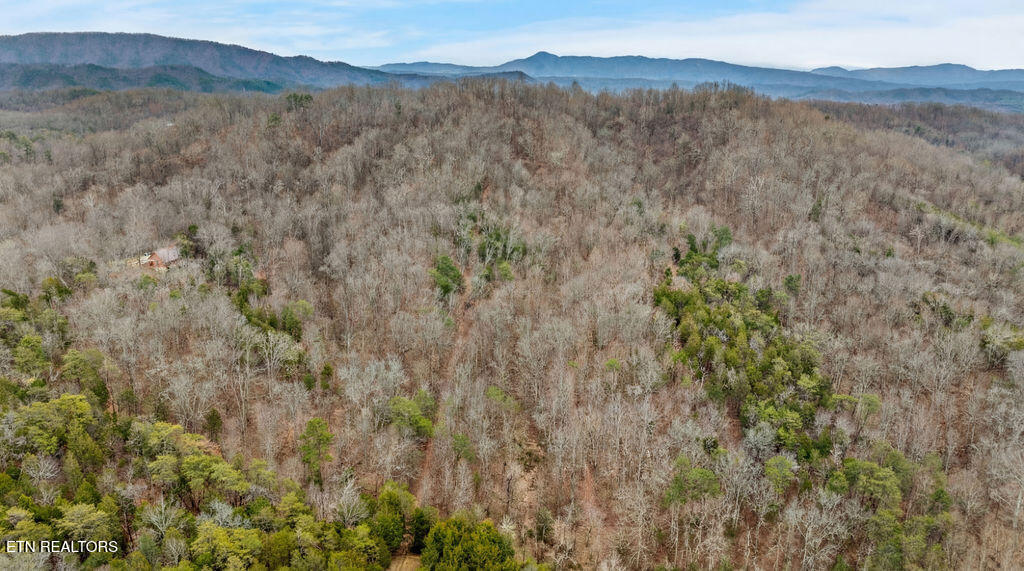 1924 Big Gully Road Maryville TN 37801