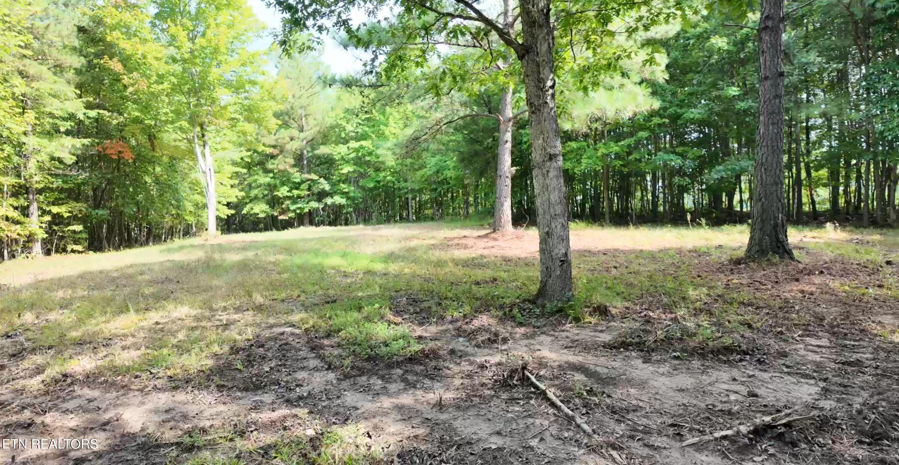 Lot 50 Topside Drive Spencer TN 38585