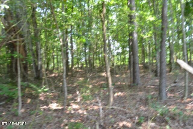 Lot 50 Topside Drive Spencer TN 38585