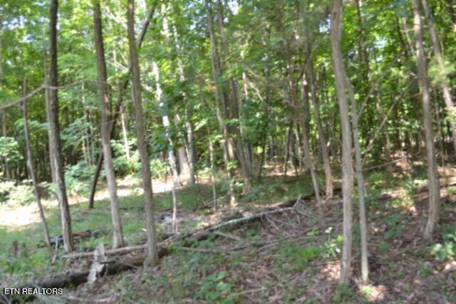 Lot 50 Topside Drive Spencer TN 38585