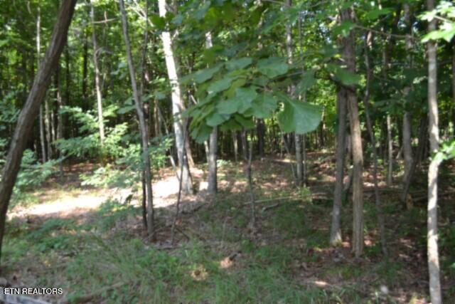 Lot 50 Topside Drive Spencer TN 38585
