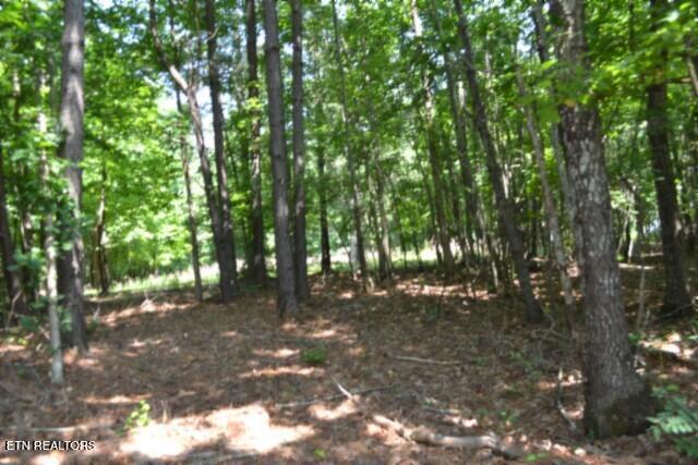 Lot 50 Topside Drive Spencer TN 38585