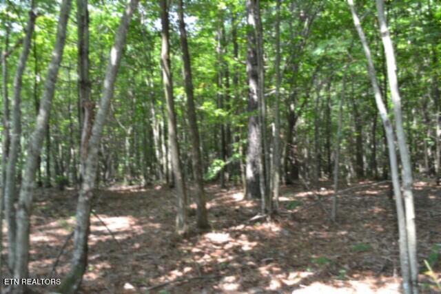 Lot 50 Topside Drive Spencer TN 38585
