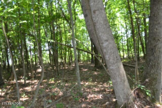 Lot 50 Topside Drive Spencer TN 38585