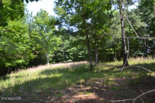 Lot 50 Topside Drive Spencer TN 38585