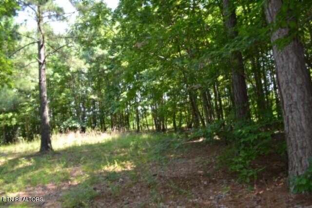 Lot 50 Topside Drive Spencer TN 38585