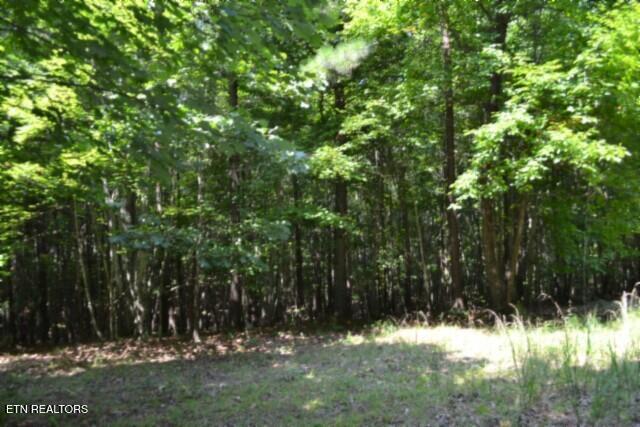Lot 50 Topside Drive Spencer TN 38585
