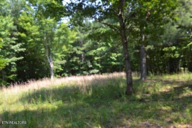 Lot 50 Topside Drive Spencer TN 38585