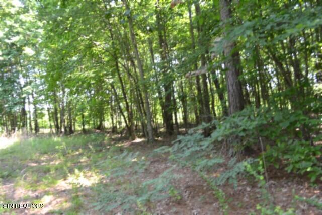 Lot 50 Topside Drive Spencer TN 38585