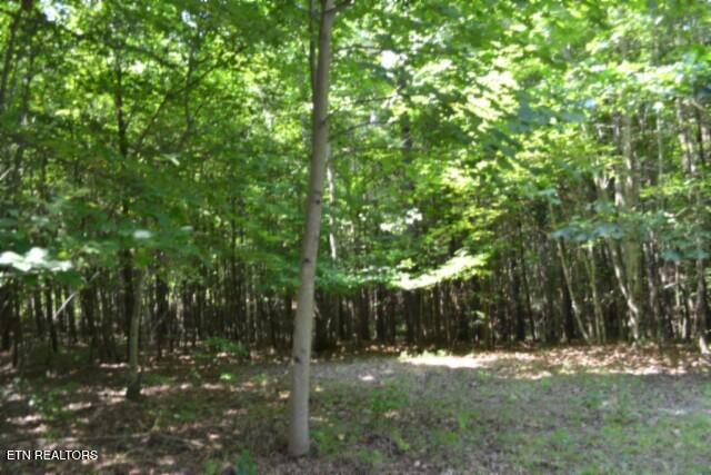 Lot 50 Topside Drive Spencer TN 38585