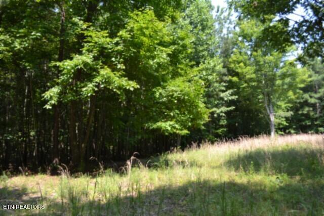 Lot 50 Topside Drive Spencer TN 38585
