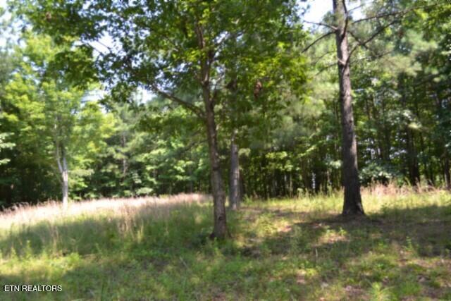 Lot 50 Topside Drive Spencer TN 38585
