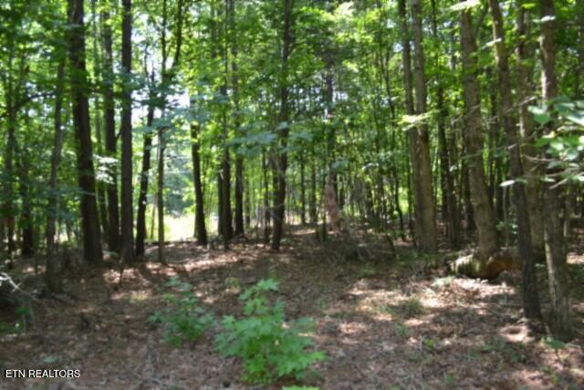 Lot 50 Topside Drive Spencer TN 38585
