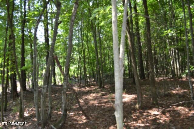 Lot 50 Topside Drive Spencer TN 38585