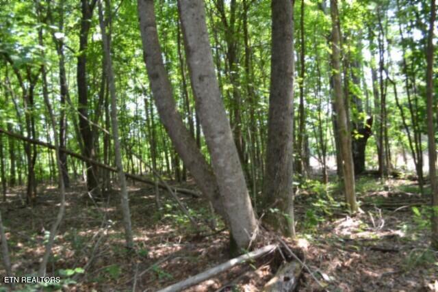 Lot 50 Topside Drive Spencer TN 38585