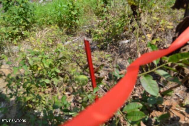 Lot 50 Topside Drive Spencer TN 38585