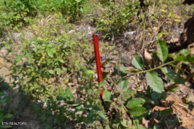 Lot 50 Topside Drive Spencer TN 38585