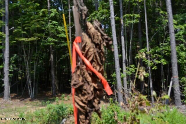 Lot 50 Topside Drive Spencer TN 38585