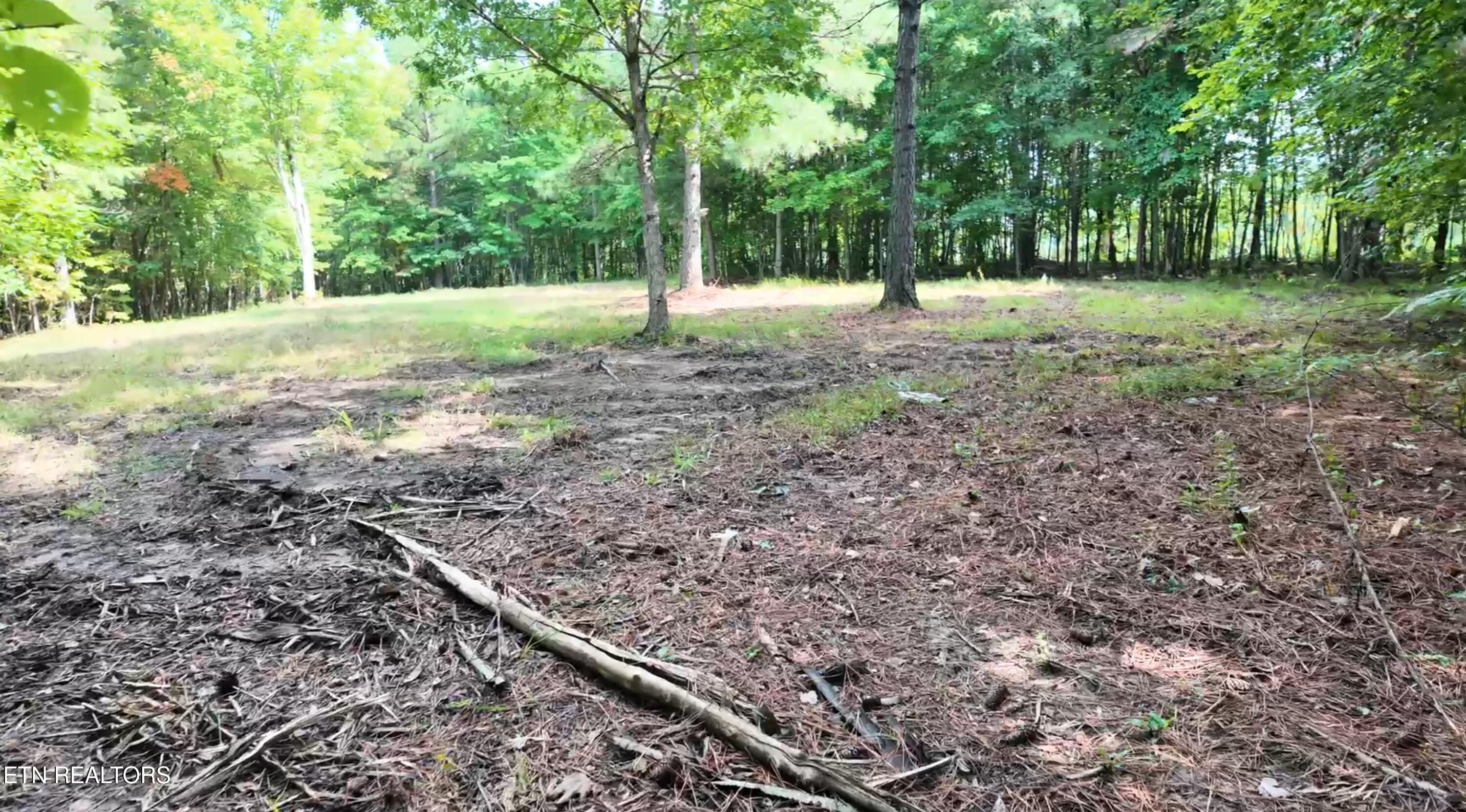 Lot 50 Topside Drive Spencer TN 38585