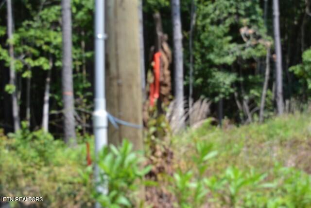 Lot 50 Topside Drive Spencer TN 38585