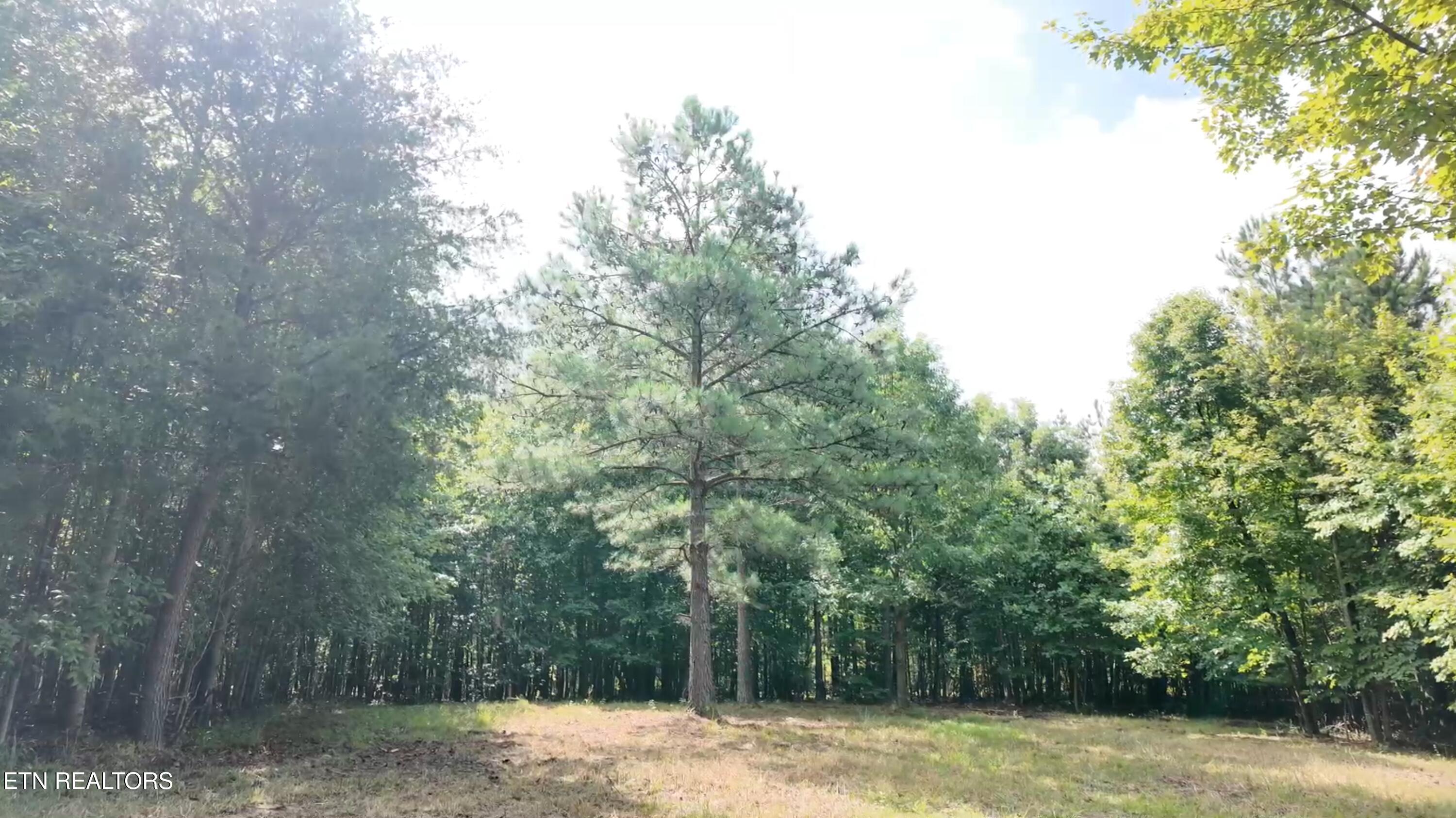 Lot 50 Topside Drive Spencer TN 38585