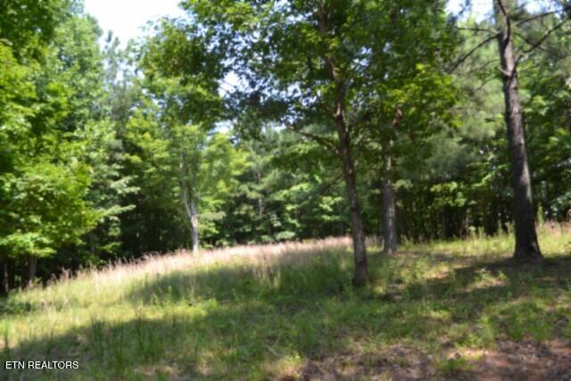 Lot 50 Topside Drive Spencer TN 38585