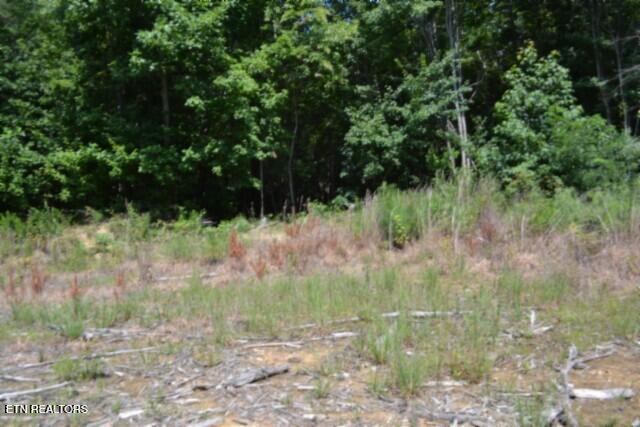 Lot 50 Topside Drive Spencer TN 38585