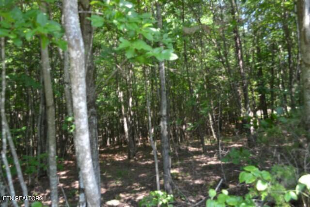 Lot 50 Topside Drive Spencer TN 38585