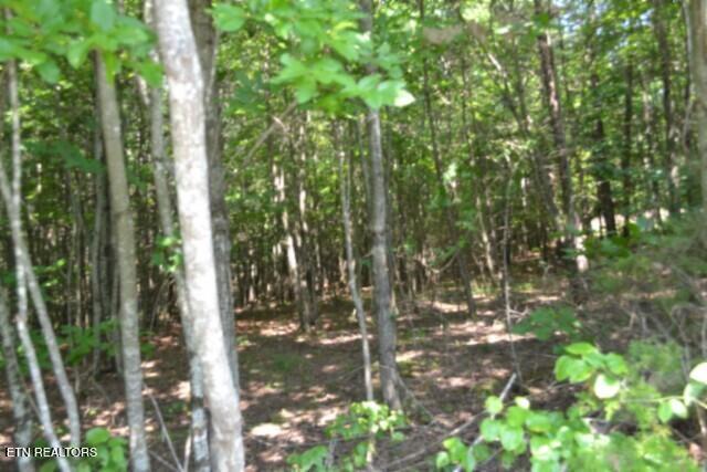 Lot 50 Topside Drive Spencer TN 38585