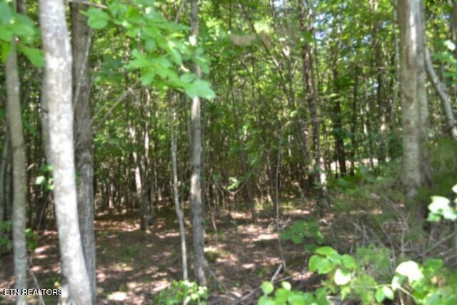 Lot 50 Topside Drive Spencer TN 38585