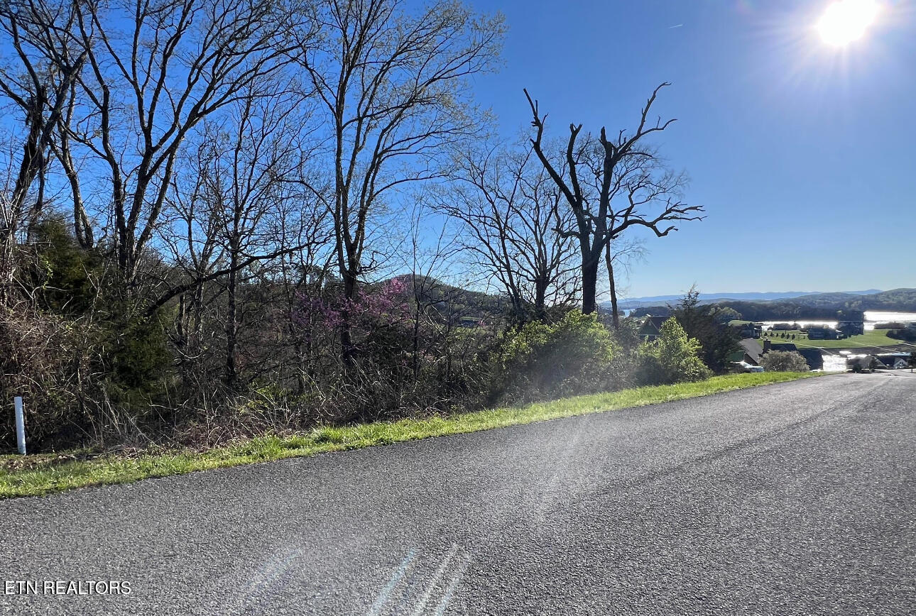 Lot 356r Larayne Hollow Road Sharps Chapel TN 37866